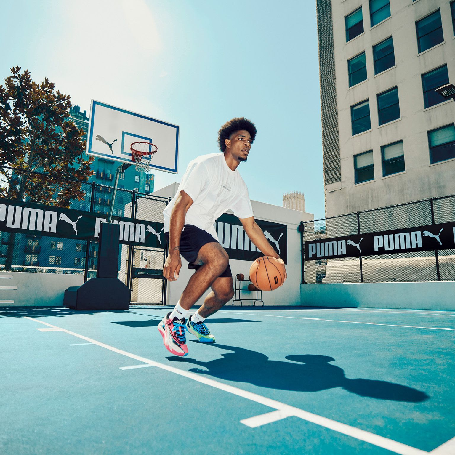 e526f1e0ad20e586f8ff9aeb934c2eac8e200ee3