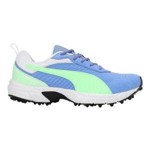 Puma Men Cricket Active Cricket Shoe