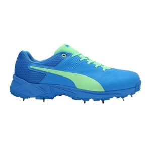PUMA spike 19.2 Cricket Shoes For Men