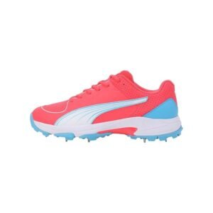 PUMA Spike 24.2 Cricket Shoes