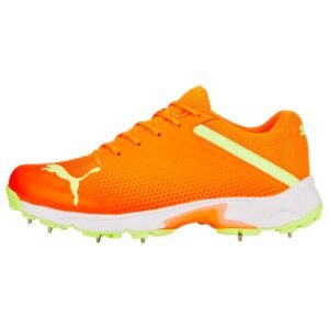 PUMA mens Cricket Shoe